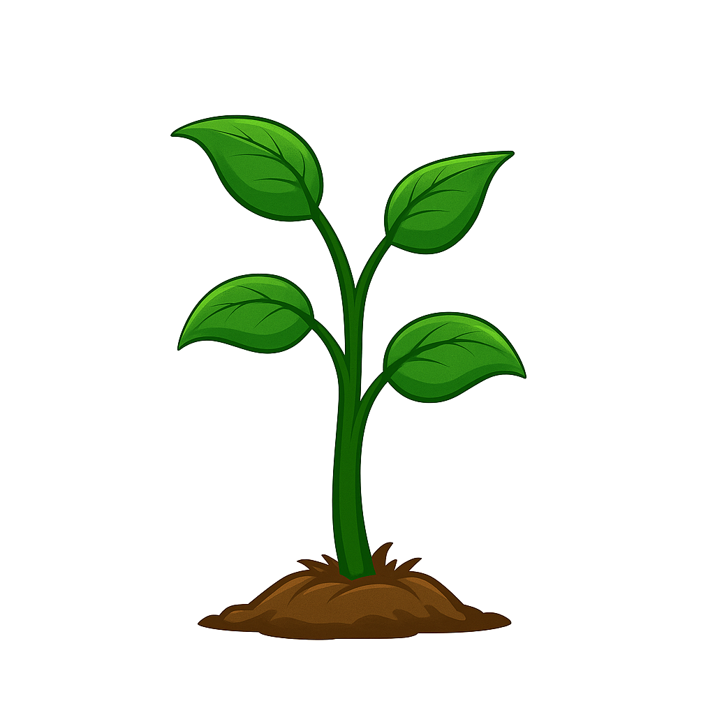Decorative Plant
